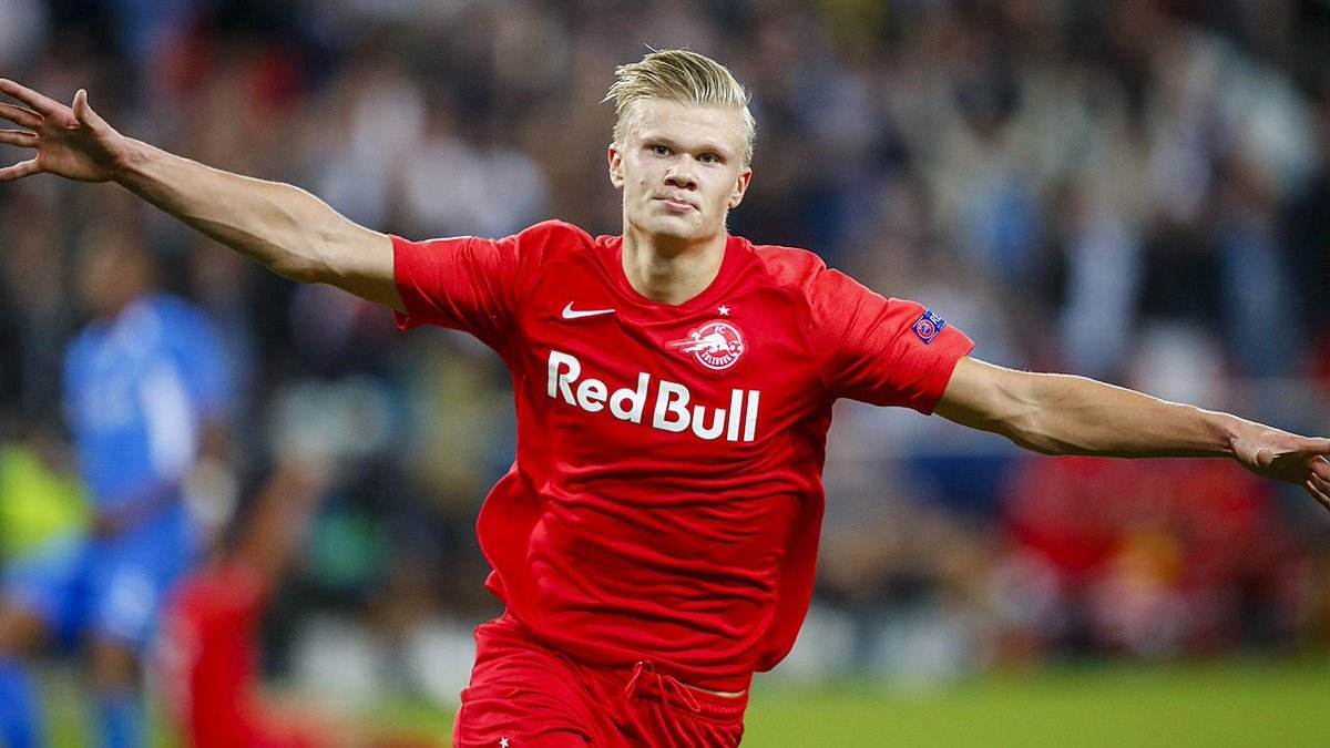 新鹏城队将于11月14日举办球迷开放日活动，今天14点开启报名（新鹏城队11月14日球迷开放日，报名今日14点开启）